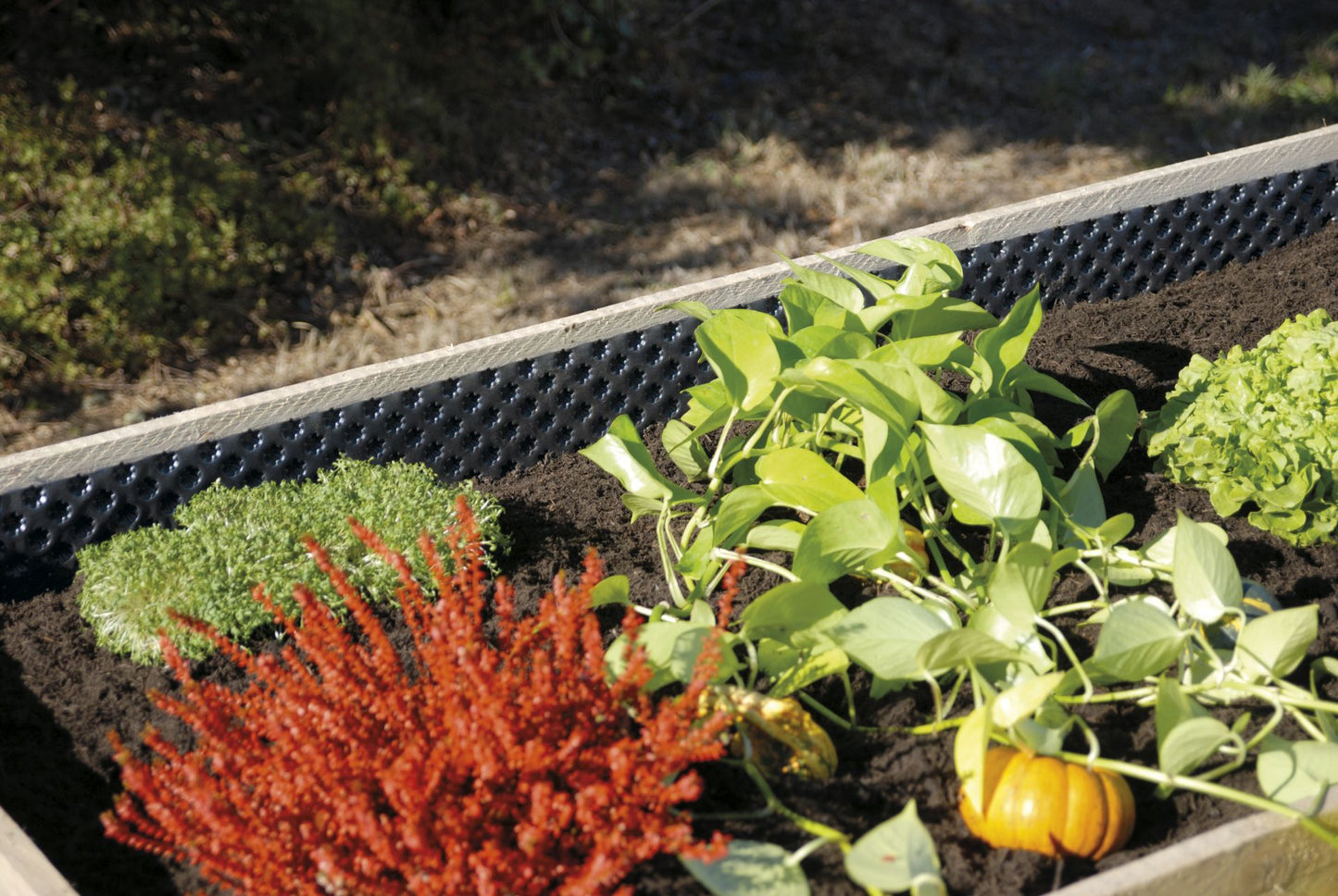 GUTTABETA STAR geomembrana lovoms 400 g/m²