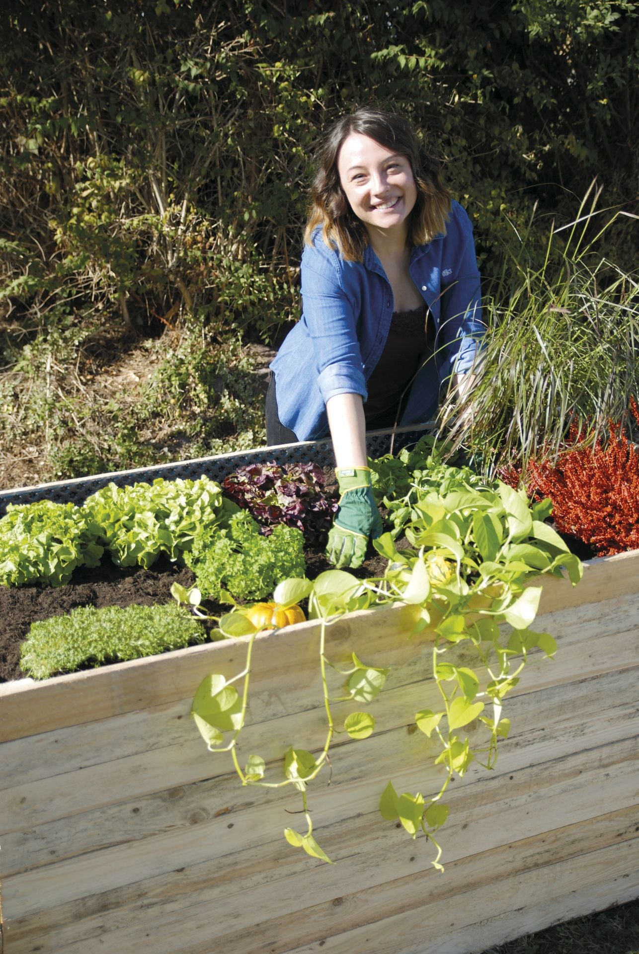 GUTTABETA STAR geomembrana lovoms 400 g/m²