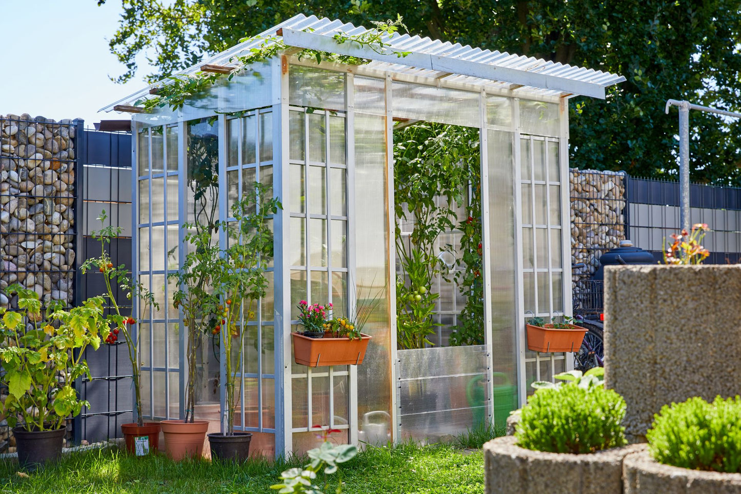 PC MACRO 0,8 mm 76/18 ir 70/18